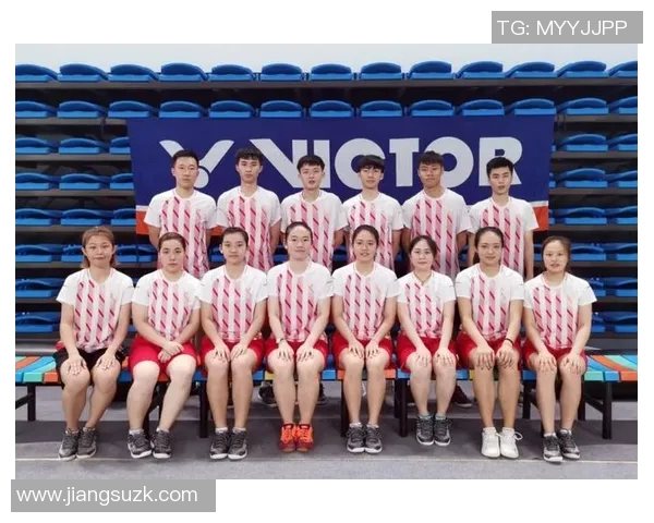 赛后分析：北京羽毛球队与南京羽毛球队个人能力的全面对比与评价