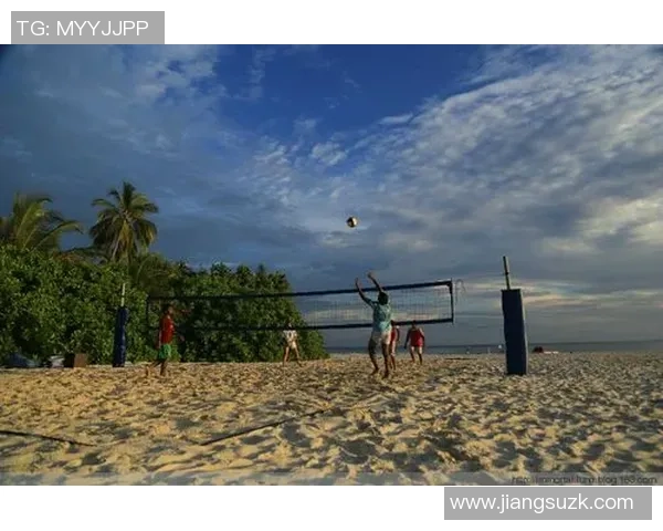 杨丽独家分享排球心得与技巧助你提升球技的秘诀与经验解析