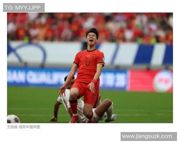 广州羽毛球队奋勇拼搏世界杯预选赛的辉煌历程与未来展望